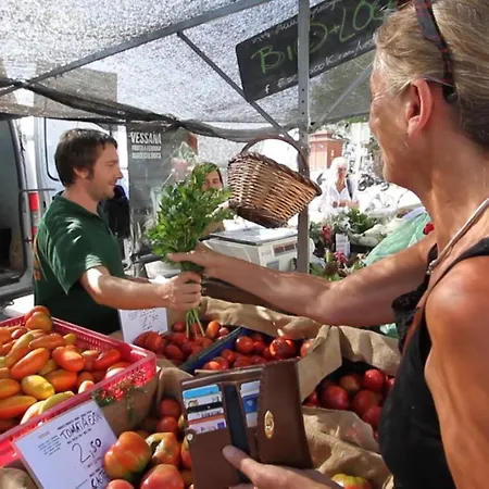 Basic Comfort Manhattan 0115 *